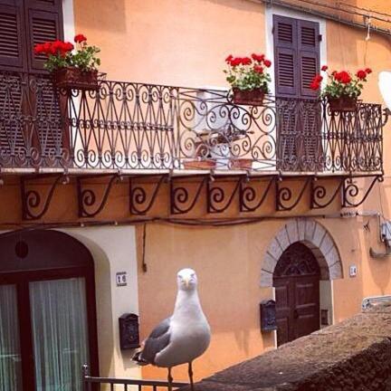 L'Appogghju Bed and Breakfast Castelsardo Exteriör bild